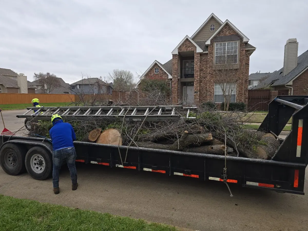 Expert Tree Fertilization with proper safety equipment in Montgomery